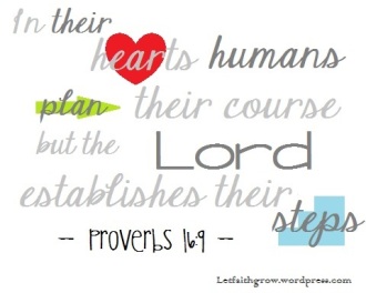 Proverbs 16 9